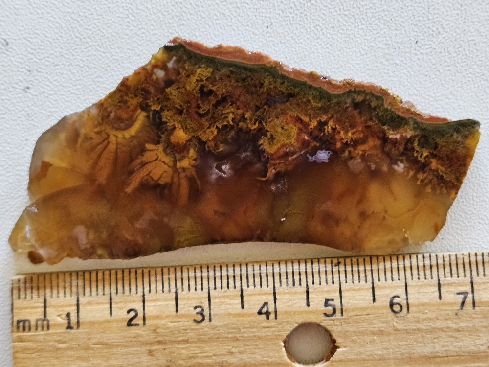 Beautiful Plume Agate Lapidary Slab 16 Grams