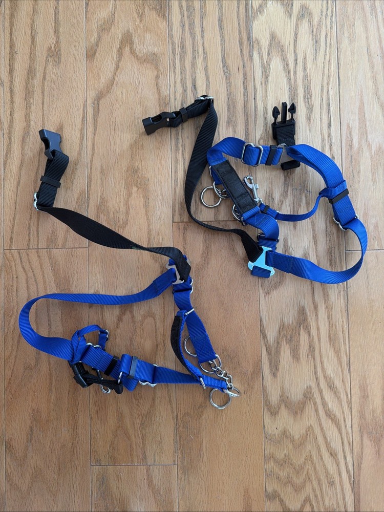 WaggWalker® Dog Walking "Communication" harness.