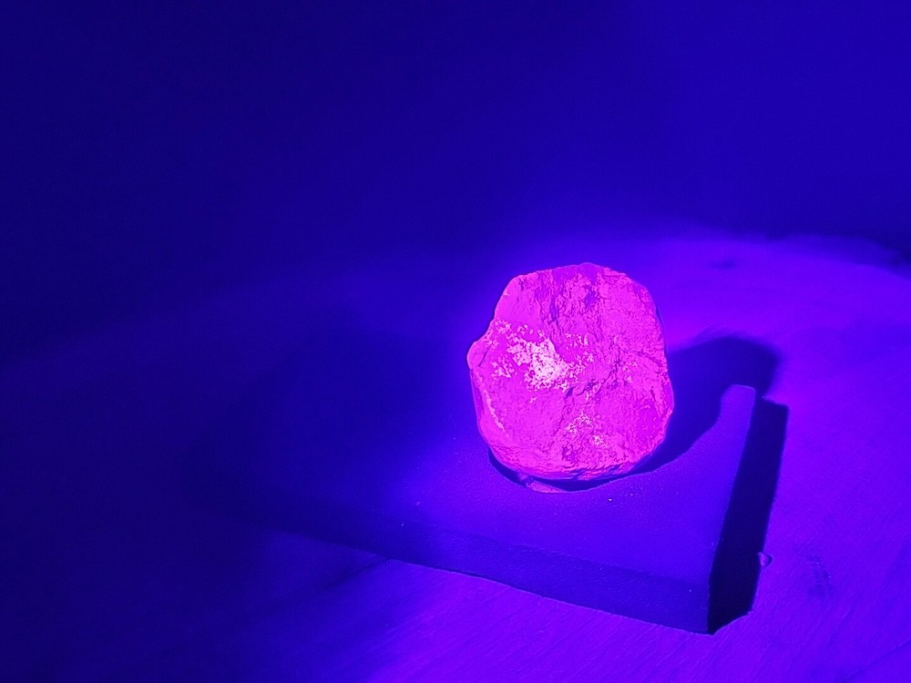 Real Fossilized Dinosaur Half Egg Embro Uv Reactive