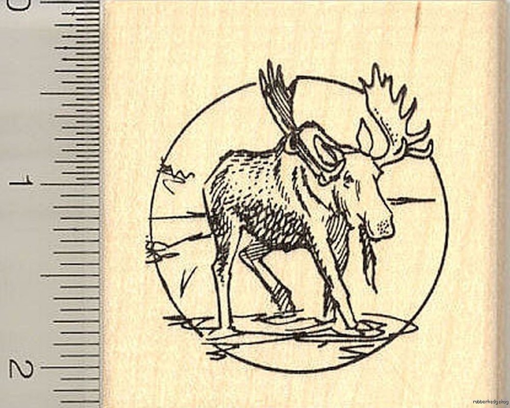 Moose Circle rubber stamp H10908 WM