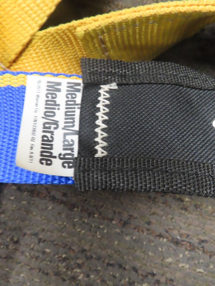 Notch Gecko - Tree Spikes -