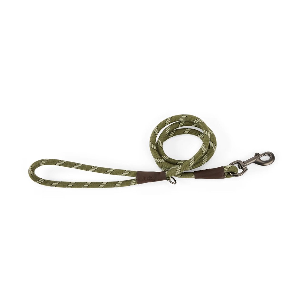 Reddy Small Dog Olive Leash, 4 ft. Original, Olive