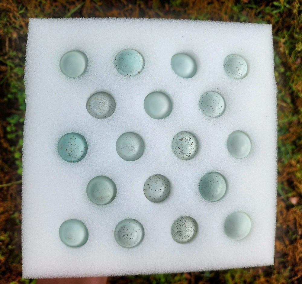 100+  Celadon Coturnix  Quail Hatching Eggs