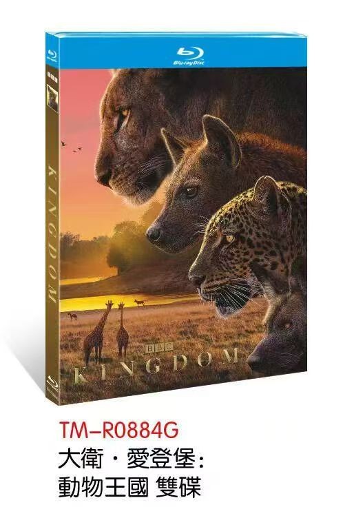 Kingdom (2025) 2-D