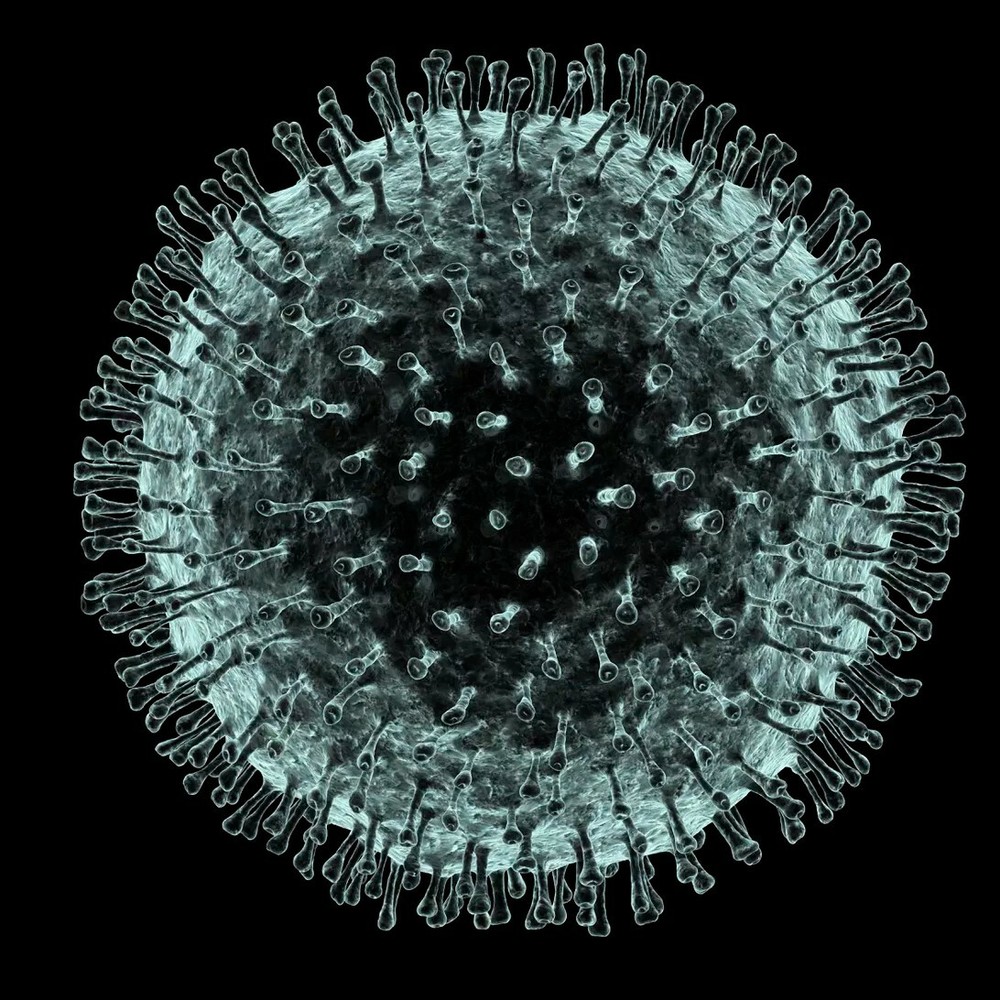 Coorona virus immunity *read description!*