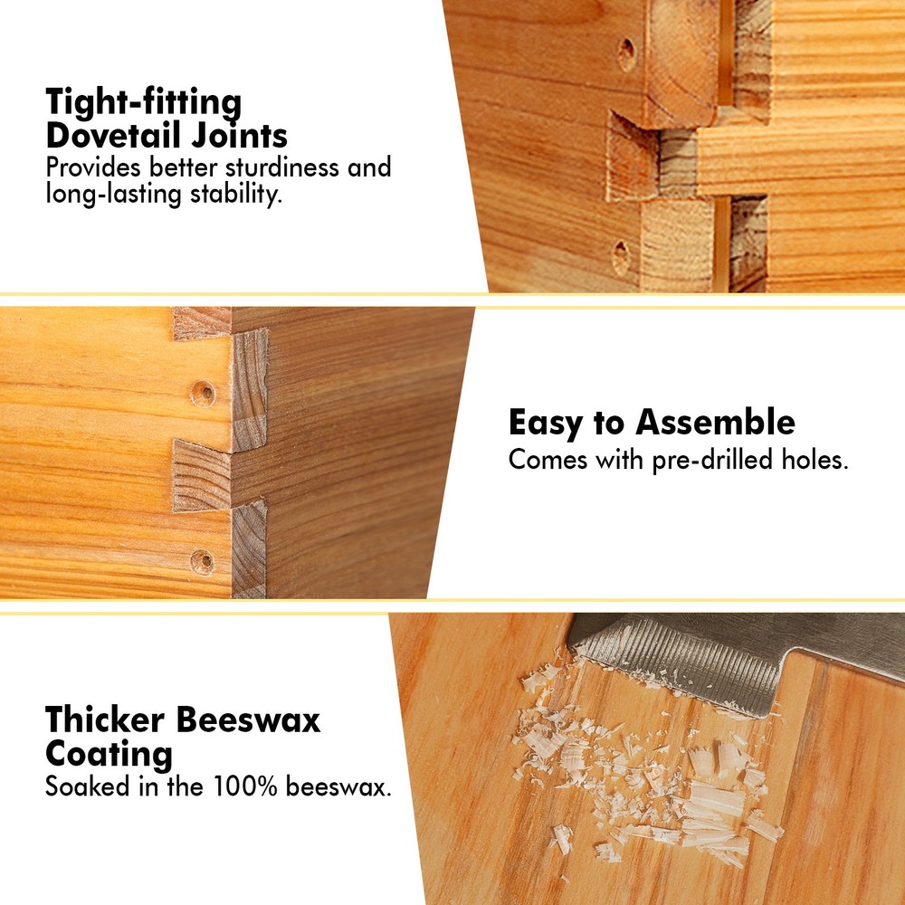 8 Frame Langstroth Bee Hive Coated with Beeswax Includes Beehive Frames