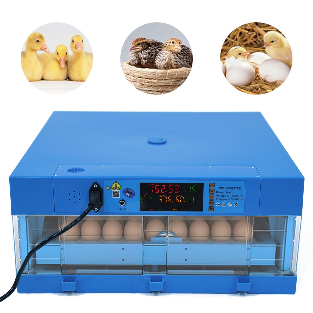 48 Groove Egg Incubator Fully Digital Automatic Hatcher for Hatching Chicken