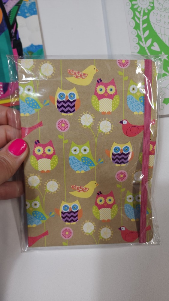 Set of 3 Lined Owl Notebooks Different Sizes & Styles