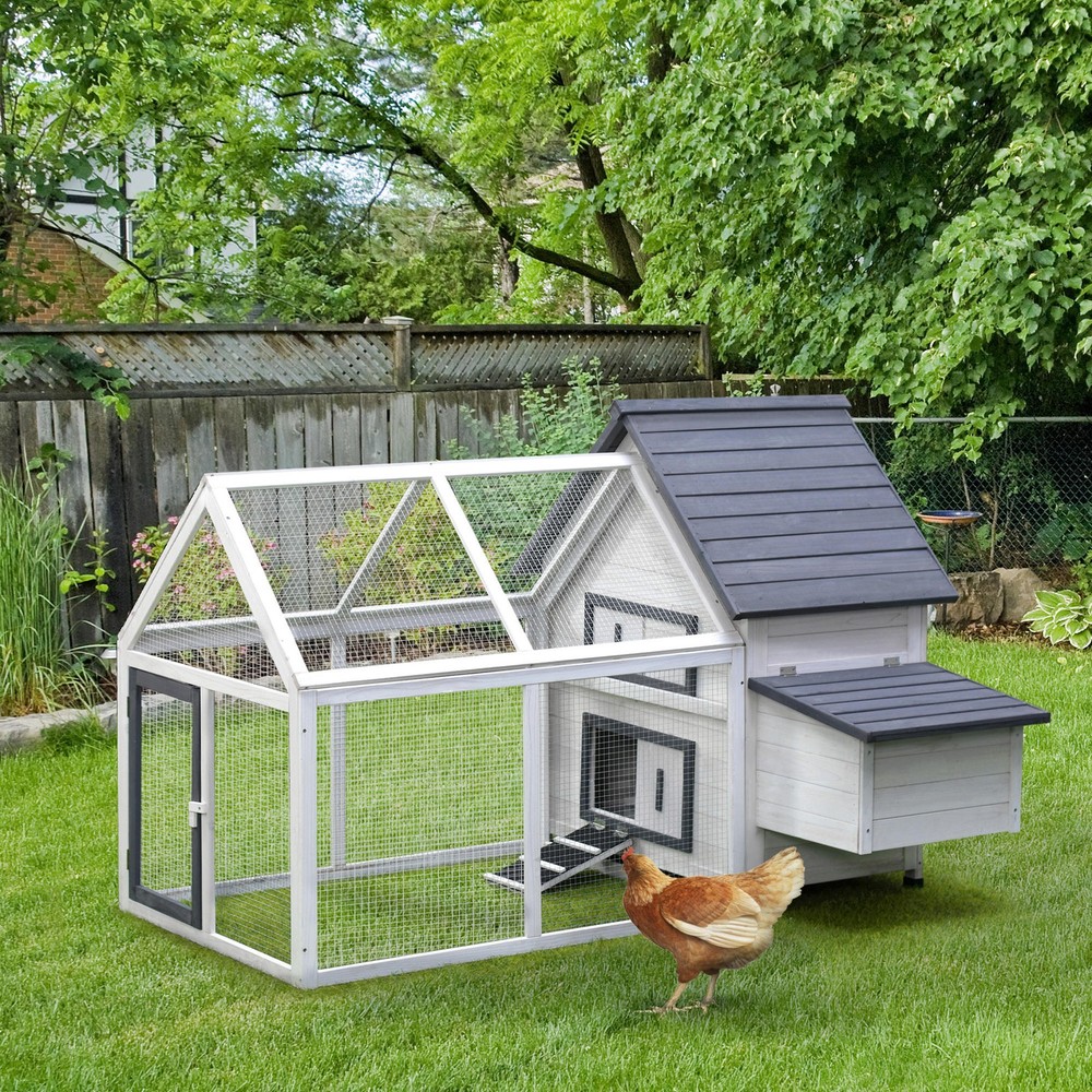 Chicken Coop