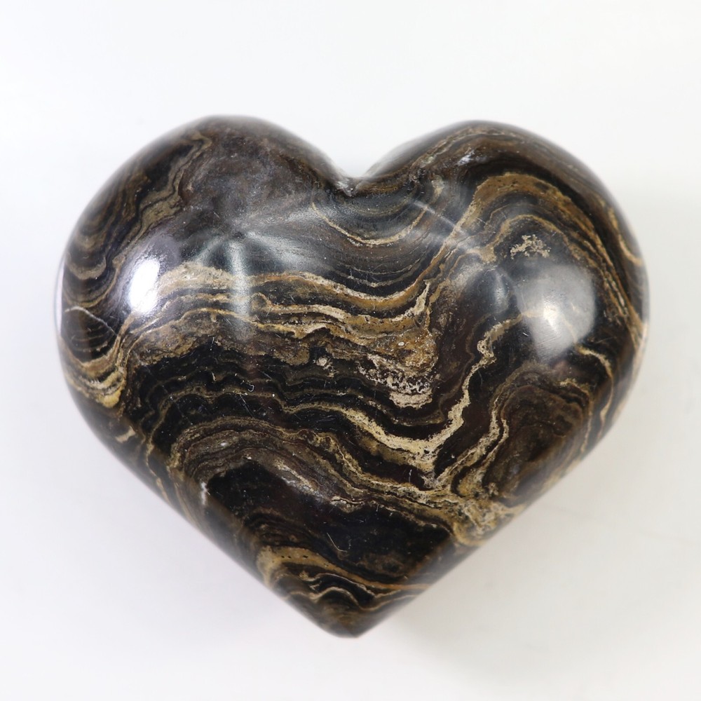 Polished Stromatolite Heart (MSC33)