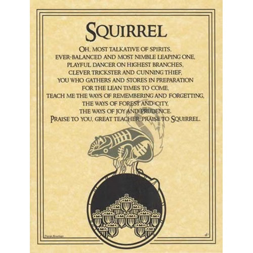 Squirrel Prayer poster