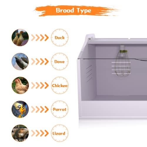 Brooder Box for Chicks ，Chick Brooder Heat up to 25 Chicks with 23" X 16" X 16"