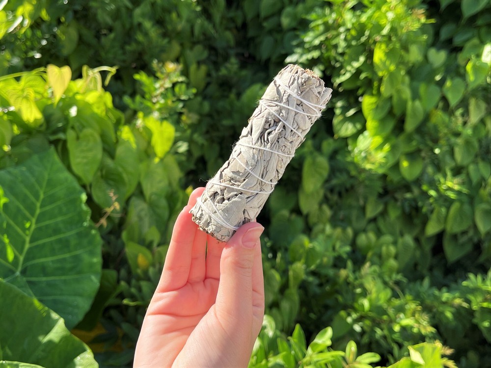 LARGE Abalone Smudge Kit: White Sage, Abalone Shell, Black Salt & Directions
