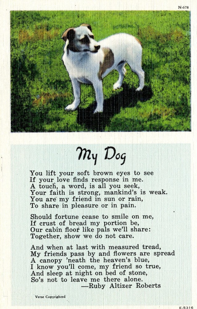MY DOG - PC783