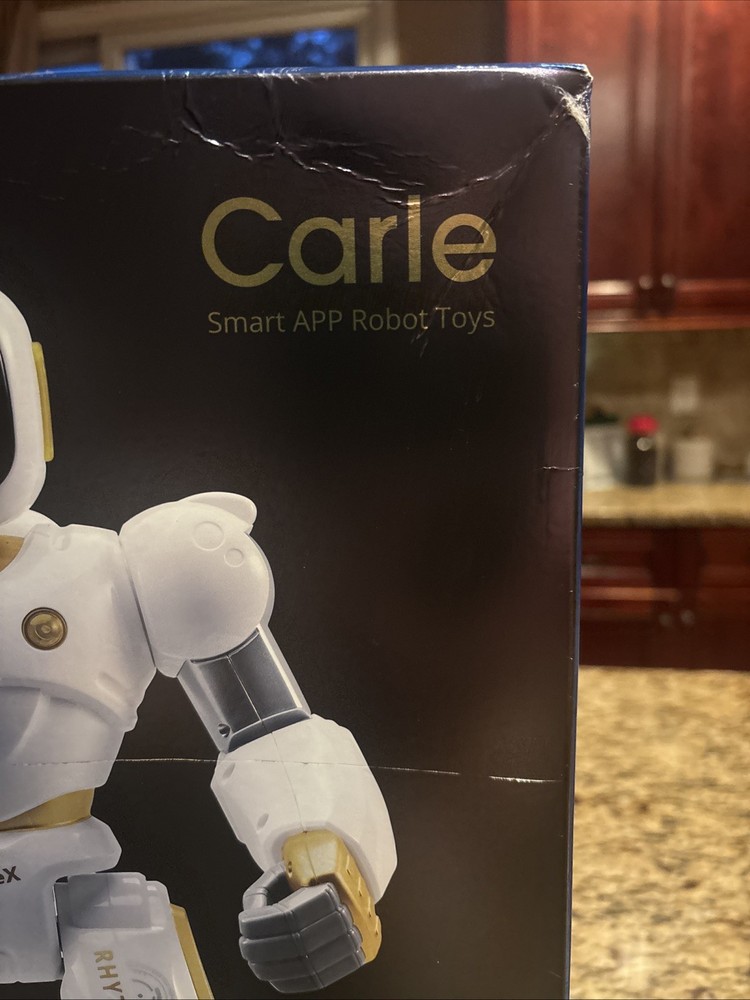 Ruko 1088 Smart Robot for Kids, Large Programmable Interactive STEM RC Robot, Vo