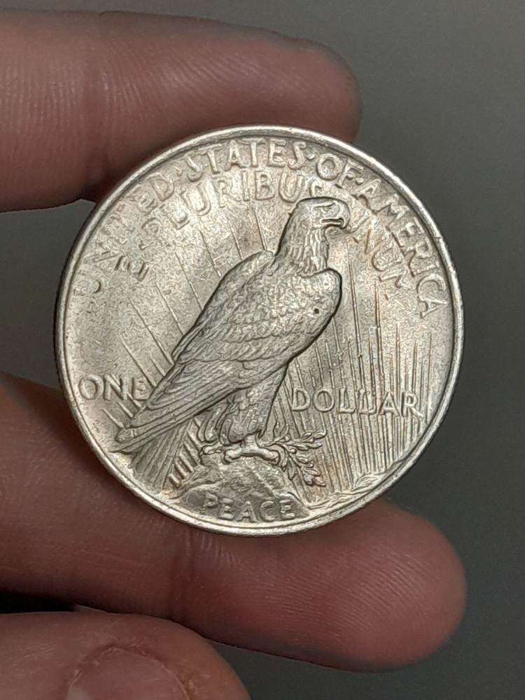1923- P Peace Silver Dollar