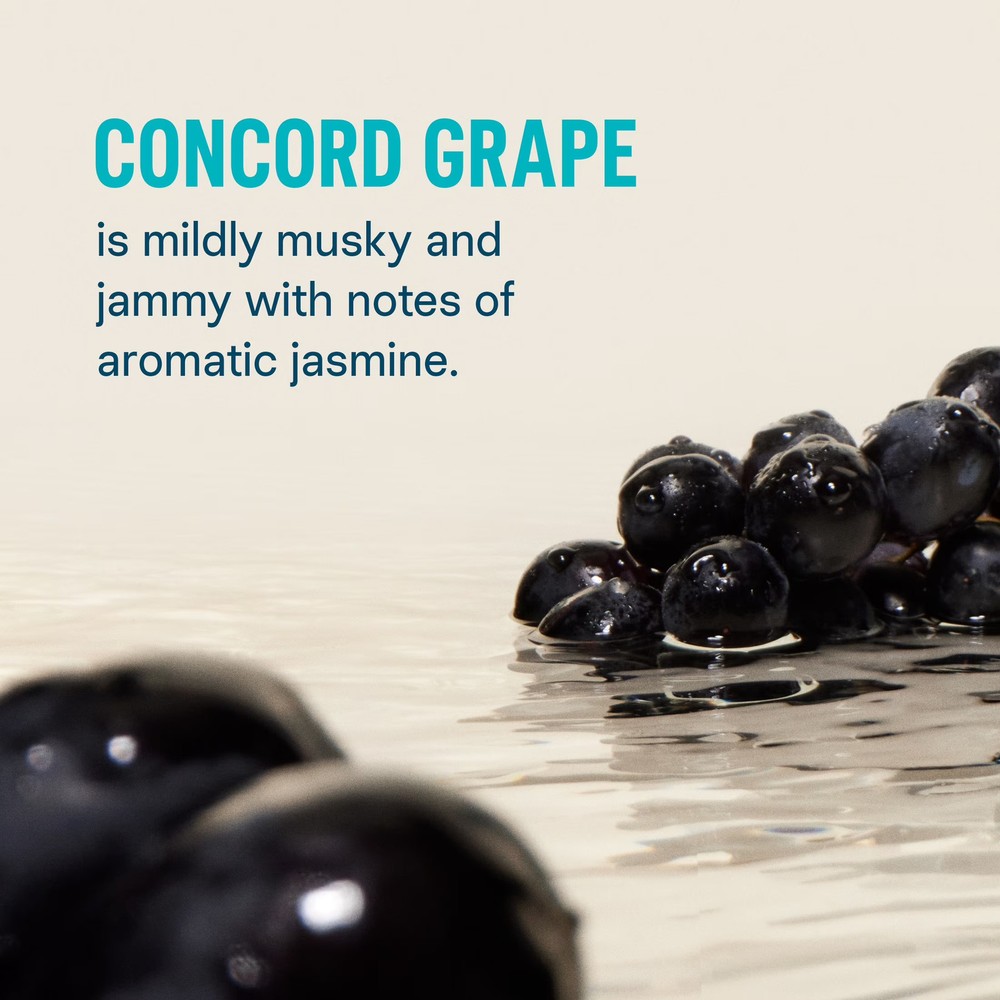 Concord Grape Hydration Electrolyte Drink Mix