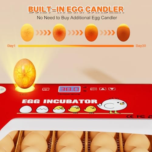 Incubators for Hatching Eggs 15-35 Eggs Incubator with Automatic Egg Red