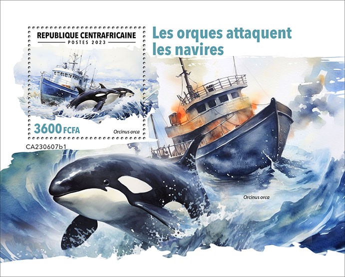 Orcas attacking ships
