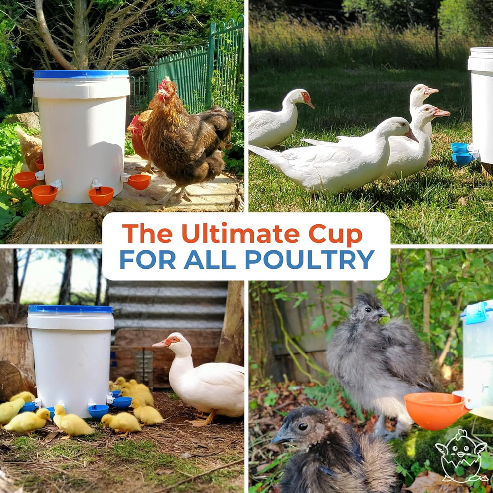 Lil Clucker - Blue Large Automatic Chicken Waterer Cups Suitable for Ducks, Gees