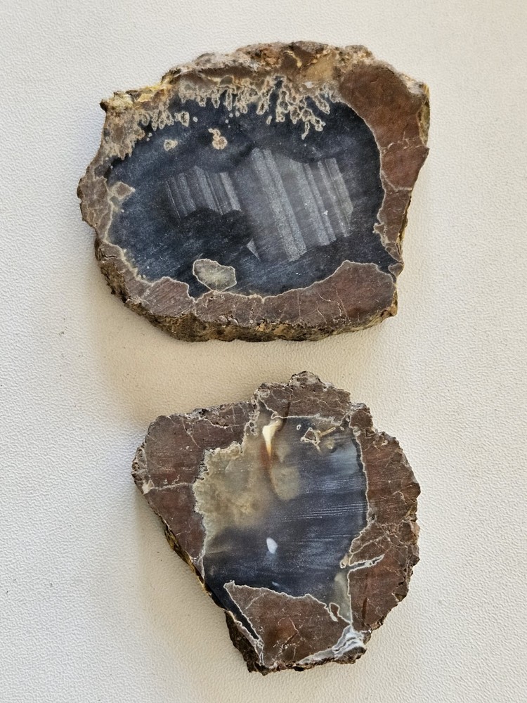 Two Priday Agate slabs Unpolished Oregon 89 Grams