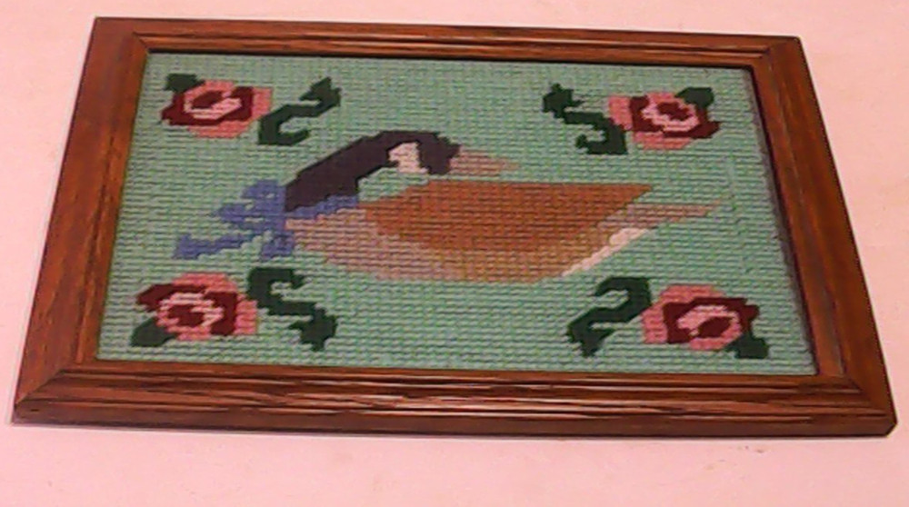 Plastic Canvas Swan Picture With Frame