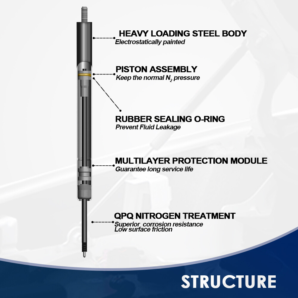 2pcs Trunk Lift Support Struts Gas Struts for Lexus SC430 2000-2010 Base