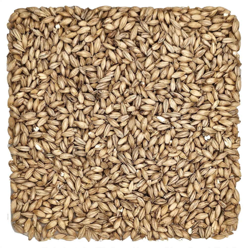 Home Brew Ohio Avangard 2-Row Grain 55lb