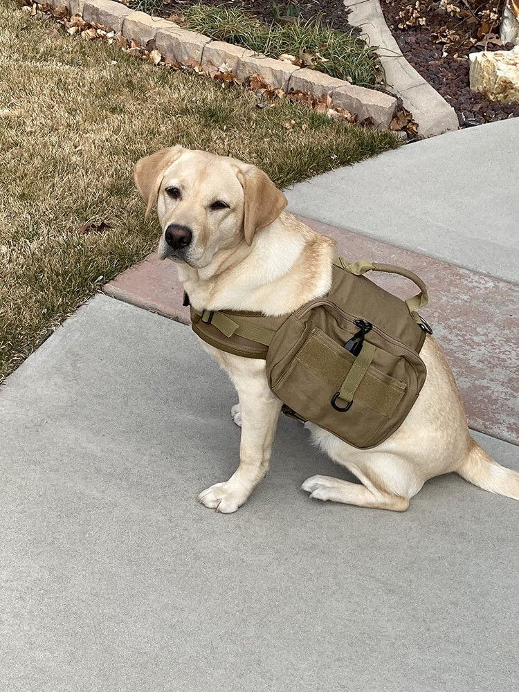 Large Dog Hiking Backpack - Hound Saddle Bag with Side Pockets Adjustable Strap