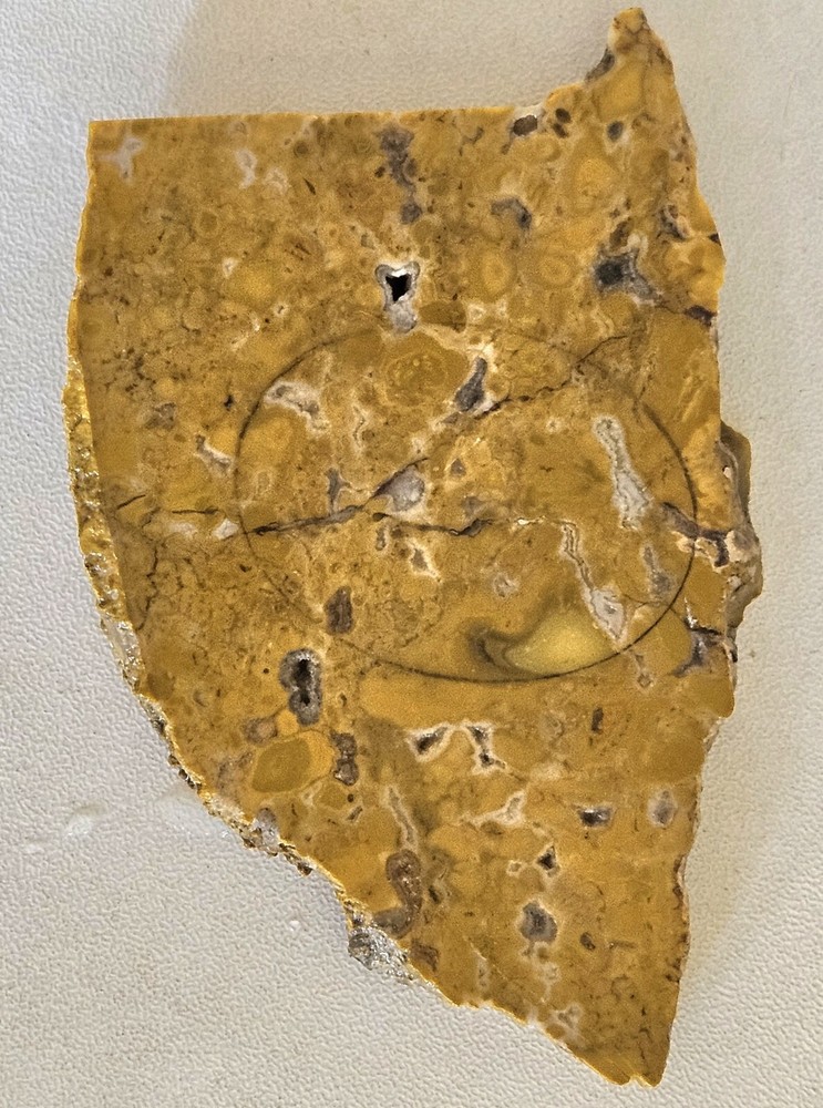 Yellow Jasper Lapidary Slab 49 grams