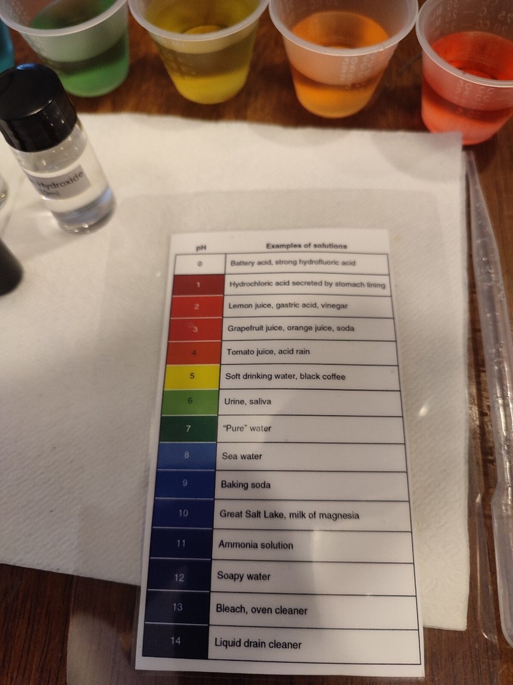 Universal Indicator Ph Experiment Kit With Acid And Base Complete, Ready To Use.