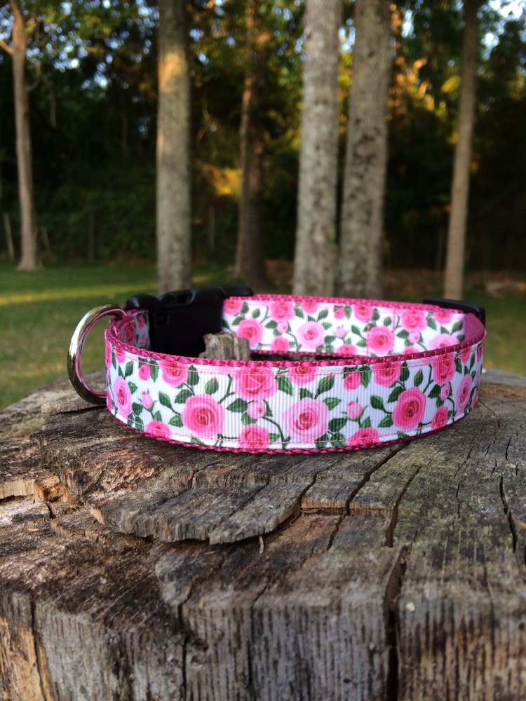 Pink Roses Dog Collar