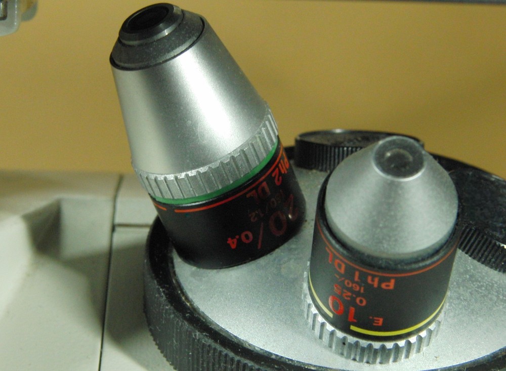 Nikon TMS Inverted Phase Contrast Microscope with (2) x Objectives