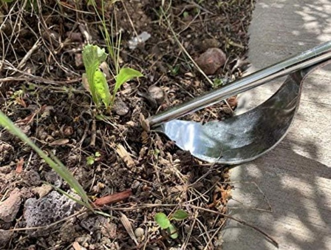 Rust-Proof Stainless Steel Weeder for Deep Root Removal -