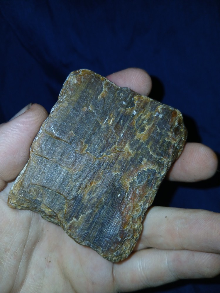5.6 oz Agatized Petrified Wood