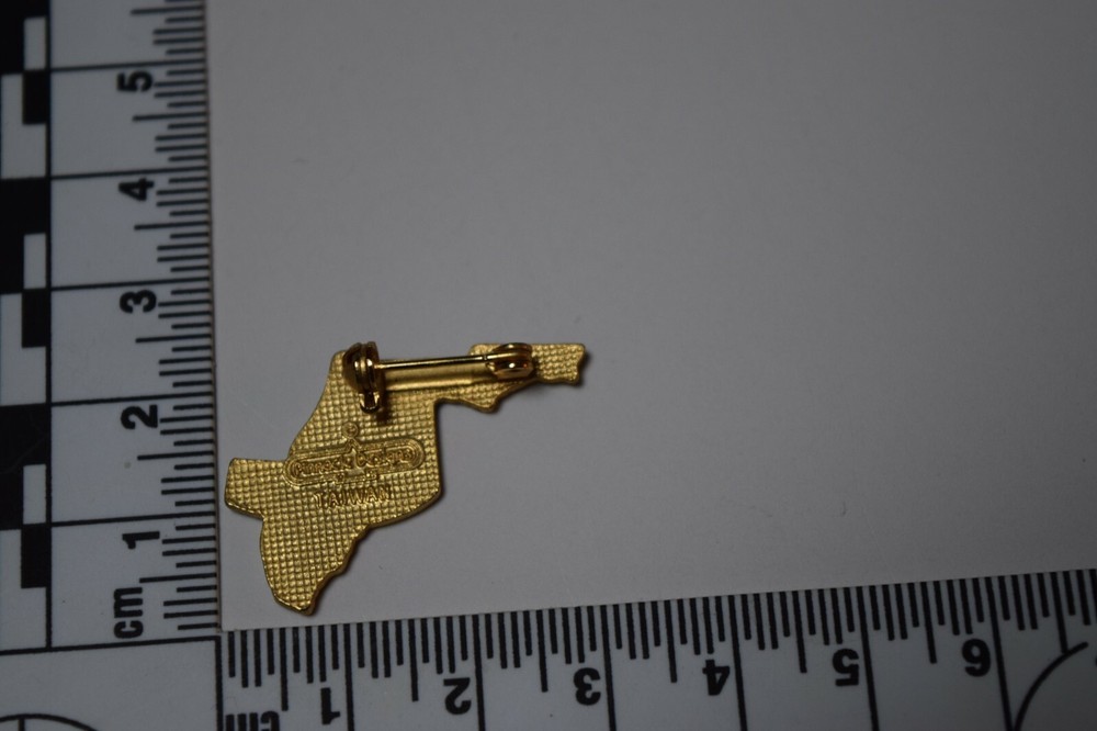 Florida US State Outline Enamel Pin