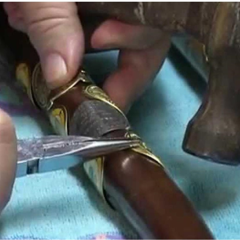 BISON WALKING STICK MEDALLION