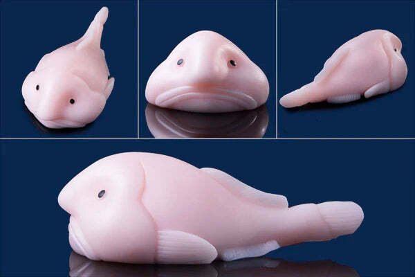 Blobfish Squishy