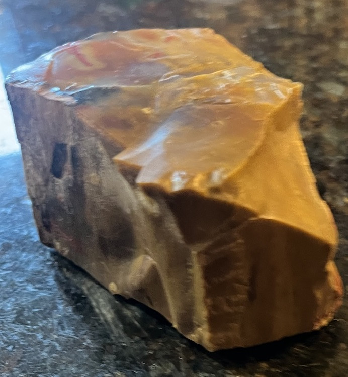 petrified wood rough