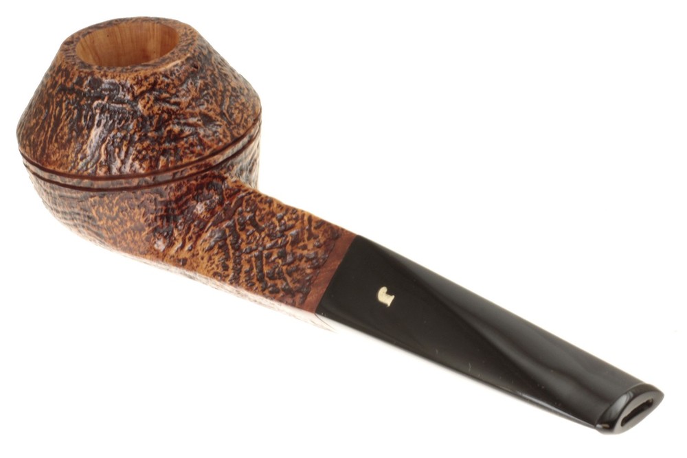 Ser Jacopo S2 (B) Maxima Maxima - Straight Rhodesian