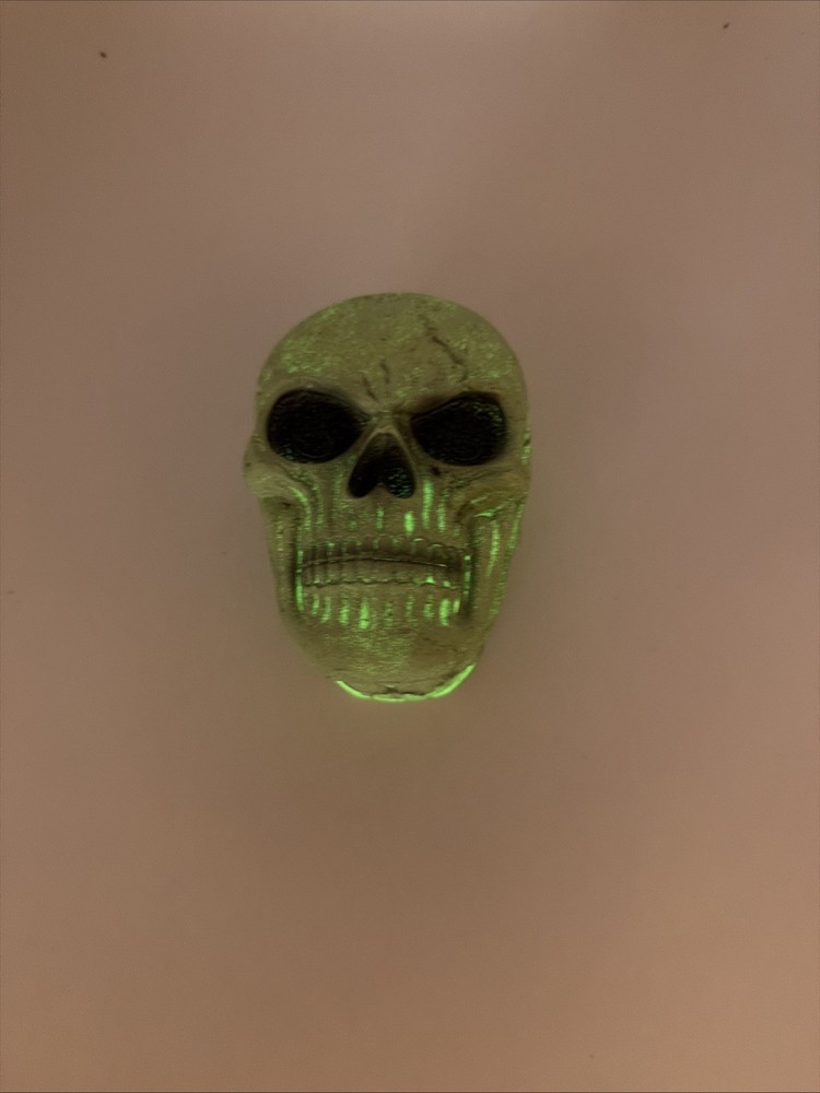 Skull Storage Box