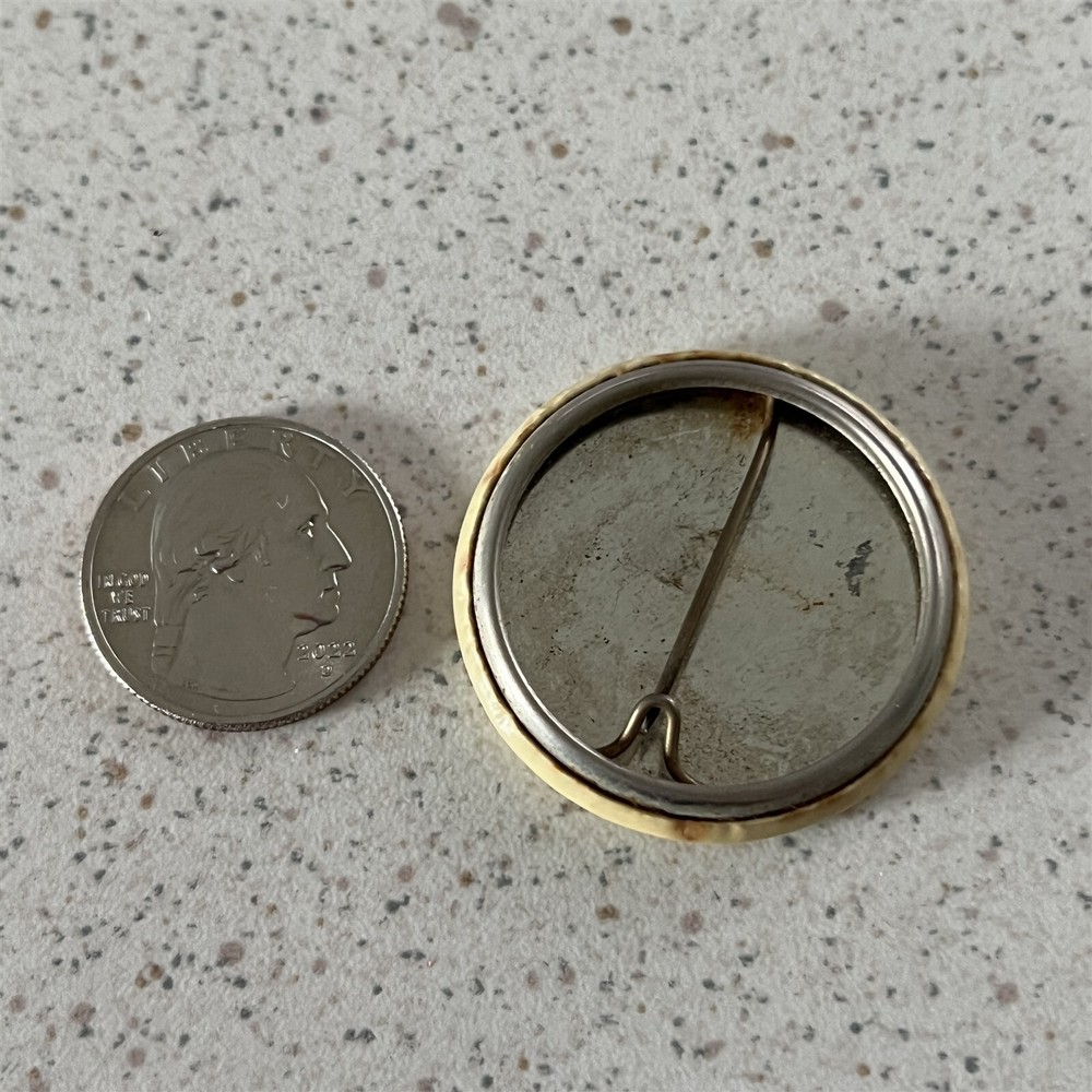 Vintage Stegosaurus Dinosaur Pinback Button #45326