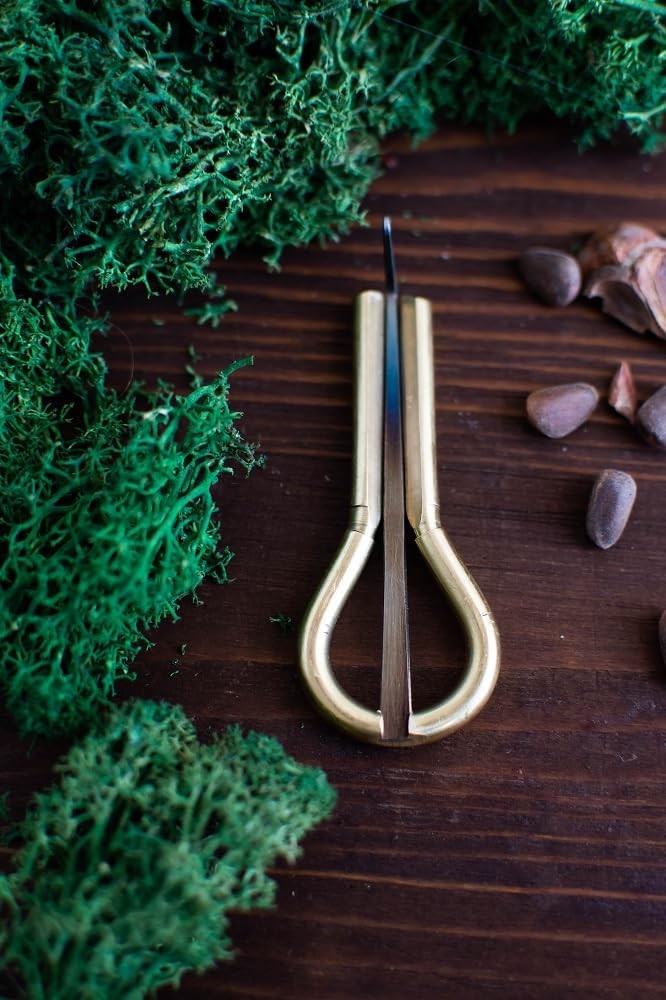 Jews Harp, Vargan, Professional