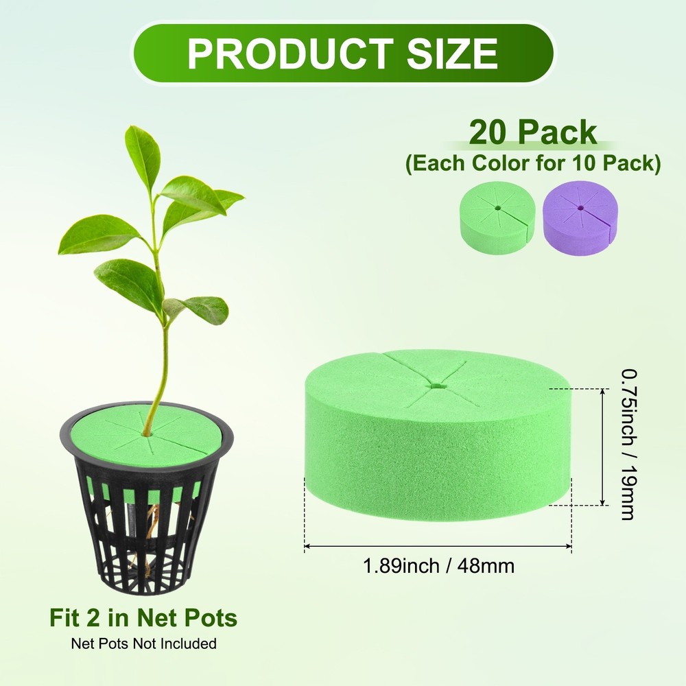 20-Pack Cloning Collars Inserts, Hydroponics Sponge Cloning [Purple, Green]