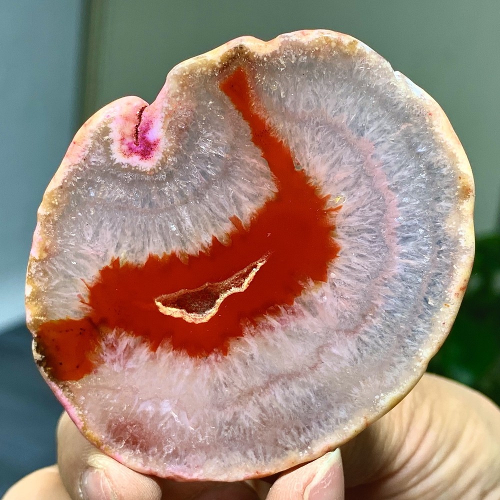 42G Natural Beautiful Agate Geode Druzy Slice Extra Large Gemstone