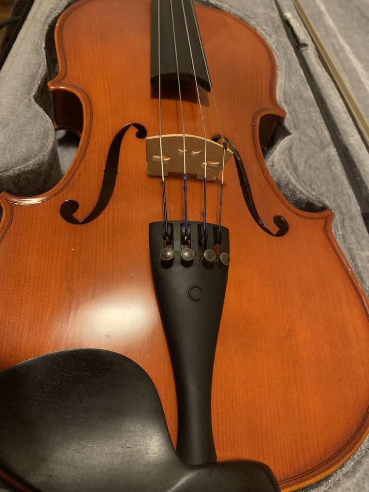 16" Viola
