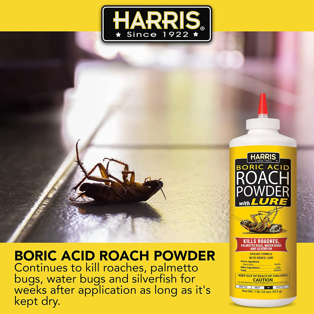 Roach and Silverfish Killer Powder with Boric & Lure, Kills Insect within 72 Hrs