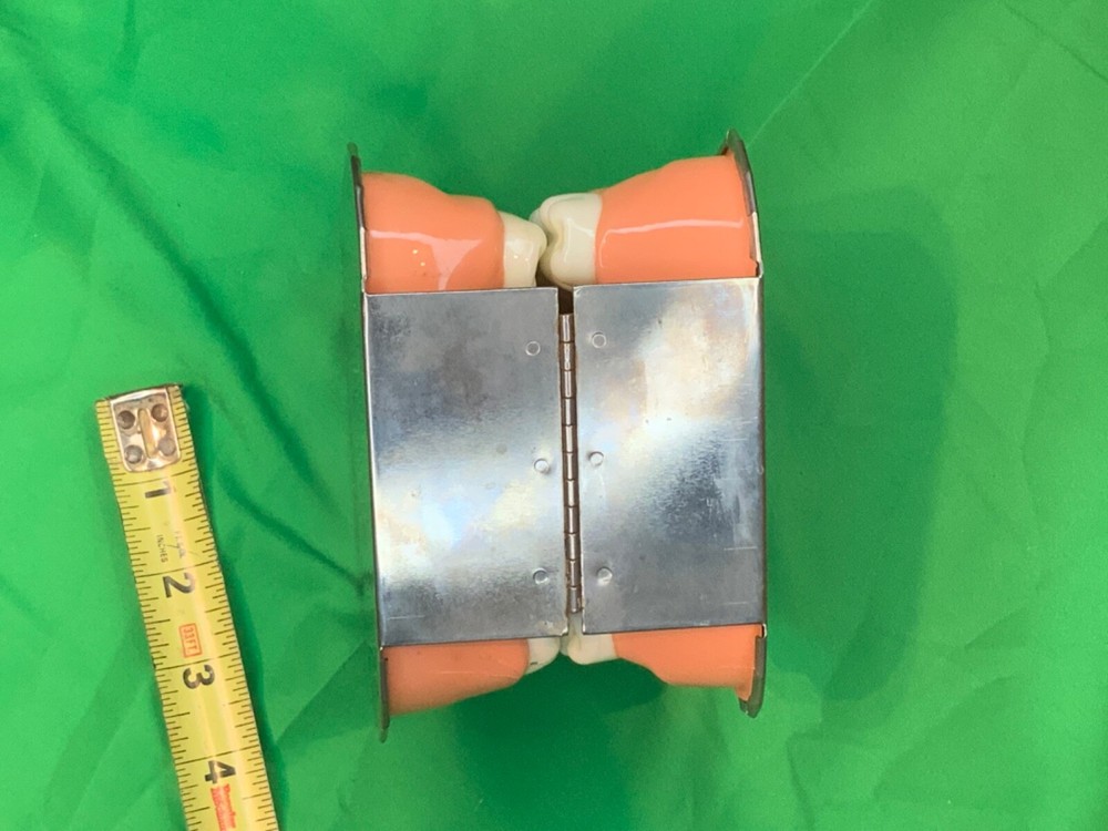 Dental model teeth