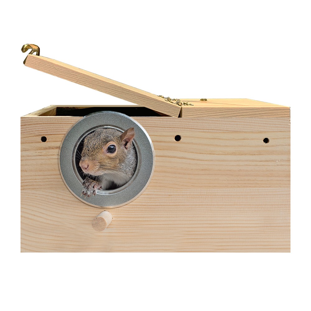 Starter Package for Squirrels