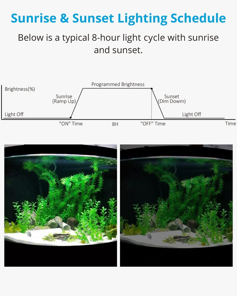 Aquarium Light Timer&Dimmer Easy to Program Fish Tank Light Controller